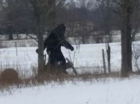 O look here’s Bigfoot spotted taking an afternoon stroll in Lorain County